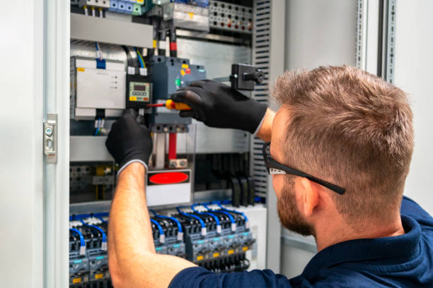 Best Electric Panel Repair  in Laurel Lake, NJ